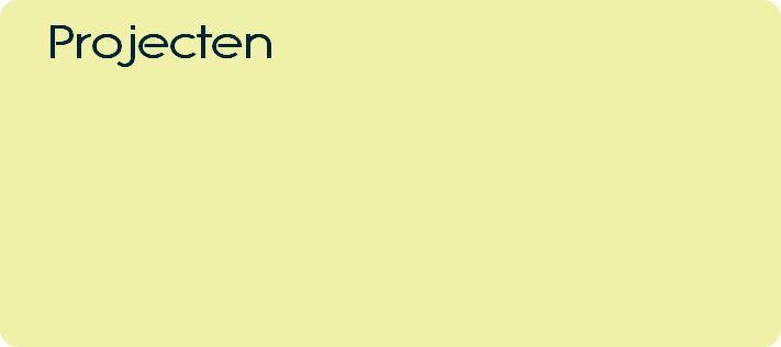 Projecten